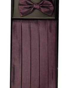 Vesuvio Napoli Eggplant Polyester Cummerbund And Bow Tie Set Men