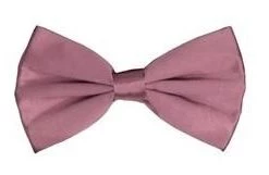 Vesuvio Napoli Men Eggplant Silk Bow Ties