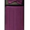 Vesuvio Napoli Eggplant Silk Satin Cummerbund And Bow Tie Set