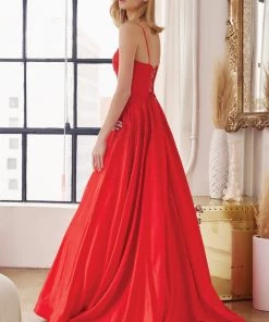 Embellished A-line Sleeveless Gown By Juliet 269