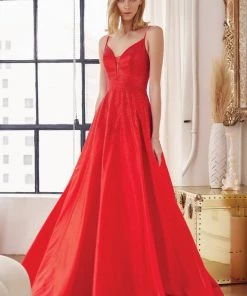 Embellished A-line Sleeveless Gown By Juliet 269