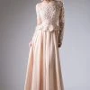Long Sleeve Lace Bodice Gown By Cinderella Divine CR772