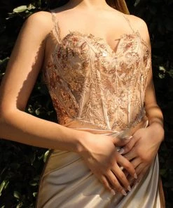 Embellished Satin Gown By Cinderella Divine CDS412