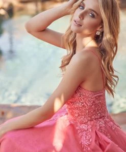 Embroidered Lace-Up Back Tulle Gown By Juliet 270