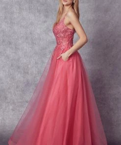 Embroidered Lace-Up Back Tulle Gown By Juliet 270