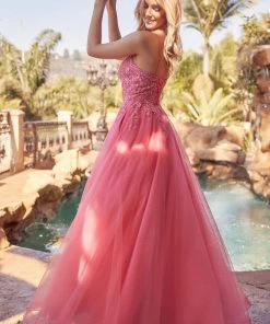 Embroidered Lace-Up Back Tulle Gown By Juliet 270