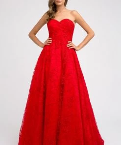 Embroidered Long Strapless Dress By Juliet 692