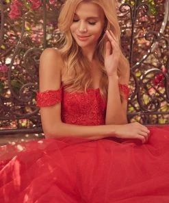 Embroidered Off Shoulder Tulle Gown By Juliet 280 Prom