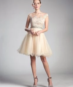 Applique Short Cap Sleeve Dress By Cinderella Divine UJ0012 Prom