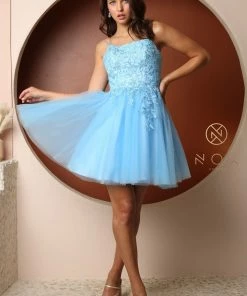 Embroidered Short Corset Back Dress By Nox Anabel T718