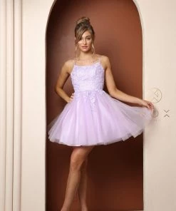 Embroidered Short Corset Back Dress By Nox Anabel T718