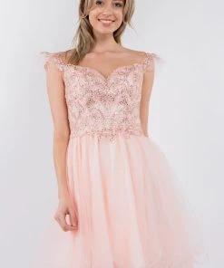 Embroidered Short Ruffled Dress By Elizabeth K GS1966