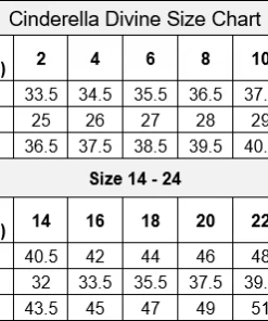 Embroidered Short Sleeve Gown By Cinderella Divine J0295