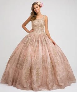Embroidered Sleeveless Glitter Ball Gown By Juliet 1429