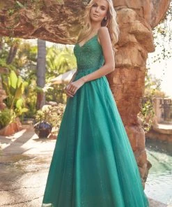 Embroidered Sparkle Tulle Gown By Juliet 268