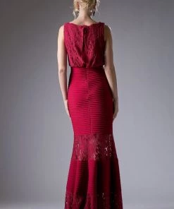 Fitted Lace Gown With Pleated Skirt By Cinderella Divine CF138