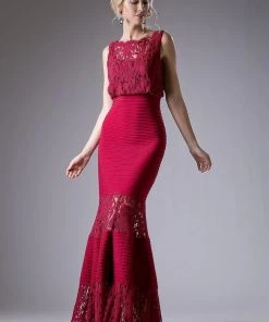 Fitted Lace Gown With Pleated Skirt By Cinderella Divine CF138