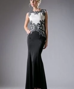 Fitted Long Embroidered Dress By Cinderella Divine CF121