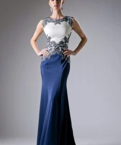 Fitted Long Embroidered Dress By Cinderella Divine CF121