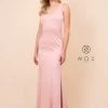Prom Fitted Long Sleeveless V-Neck Dress By Nox Anabel Q011