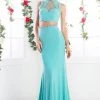 Prom Fitted Long Two Piece Dress By Cinderella Divine CK20