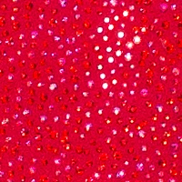 Fitted Short Ruched Dress By Poly USA 8918