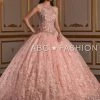 Quinceañera Floral Applique Illusion Quinceanera Dress By House Of Wu 26935