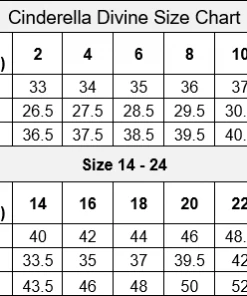 Prom Floral Applique Strapless Fitted Gown By Cinderella Divine CB046