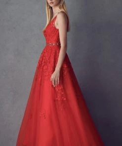Floral Applique V-Neck Tulle Gown By Juliet 224
