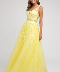 Floral Applique V-Neck Tulle Gown By Juliet 224