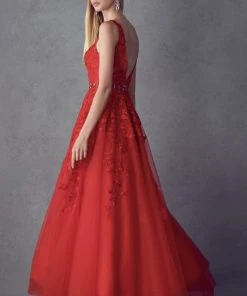 Floral Applique V-Neck Tulle Gown By Juliet 224