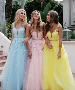 Floral Applique V-Neck Tulle Gown By Juliet 224