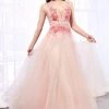 Floral Embroidered Tulle Gown By Cinderella Divine A0072 Prom