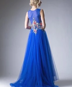 Floral Applique Tulle Gown By Cinderella Divine HW15 Prom