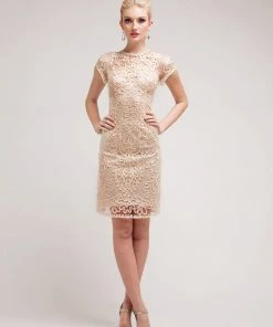 Short Floral Lace Dress With Short Sleeves By Cinderella Divine 1928