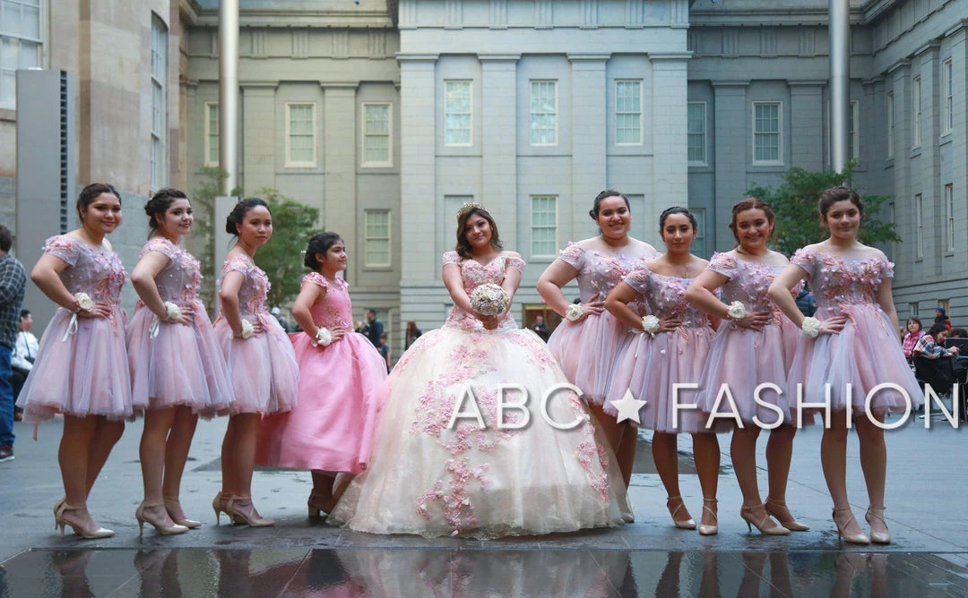 Ragazza Fashion Off Shoulder Quinceanera Dress By Ragazza D03-503 Quinceañera 12 Ragazza Fashion Off Shoulder Quinceanera Dress By Ragazza D03-503 Quinceañera