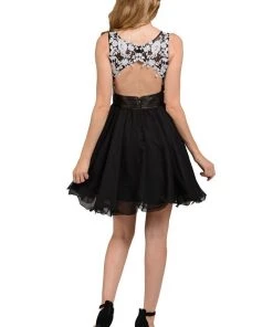 Fuchsia Short Sleeveless Lace Applique Dress By Poly USA Prom