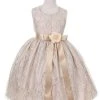 Cinderella Couture Flower Girl Dresses Girls Champagne Raschel Lace Tea Length Dress With Sash