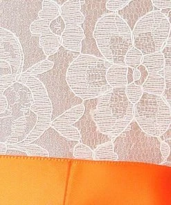 Cinderella Couture Flower Girl Dresses Girls Champagne Raschel Lace Tea Length Dress With Sash