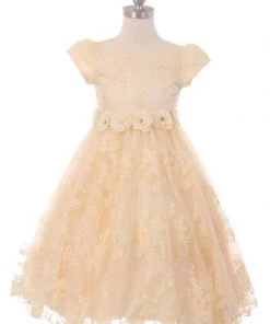 Girls Short Sleeve Chantilly Lace Dress By Cinderella Couture 9078