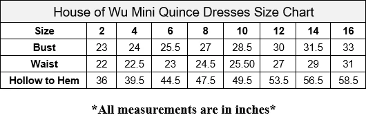 Tiffany Princess By House Of Wu Girls Long Floral Applique Dress By Mini Quince 26884MQ Kids 7 Tiffany Princess By House Of Wu Girls Long Floral Applique Dress By Mini Quince 26884MQ Kids
