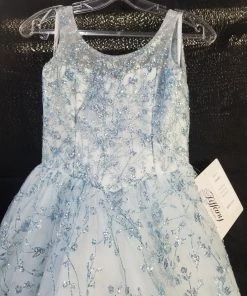 Tiffany Princess By House Of Wu Girls Long Floral Glitter Dress By Tiffany Princess 13643 Kids