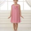 Calla Collection Flower Girl Dresses Girls Short Pink Chiffon Dress With Removable Flower By Calla CJ104