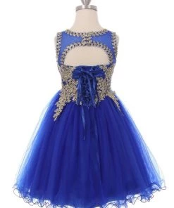 Dama Dresses Girls Short Tulle Dress With Gold Applique Top By Cinderella Couture 5017
