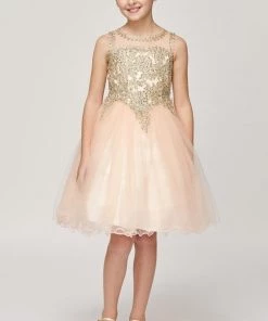 Dama Dresses Girls Short Tulle Dress With Gold Applique Top By Cinderella Couture 5017