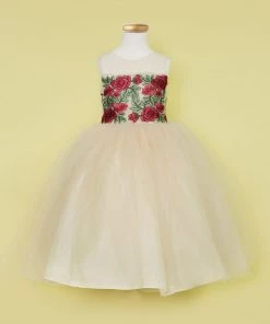 Calla Collection Girls Sleeveless Tulle Dress With Red Floral Appliqued Bodice