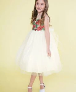 Calla Collection Girls Sleeveless Tulle Dress With Red Floral Appliqued Bodice