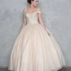 Calla Collection Glitter Off Shoulder Ball Gown With Embroidered Bodice