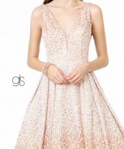 Glitter Tulle Long Illusion V-Neck Dress By Elizabeth K GL2908