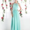 Long Halter Chiffon Dress By Cinderella Divine CH1501